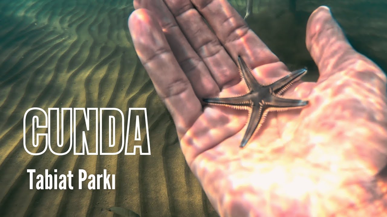 Cunda Tabiat Parkı, Ayvalık; Bambaşka Bir Dünya!