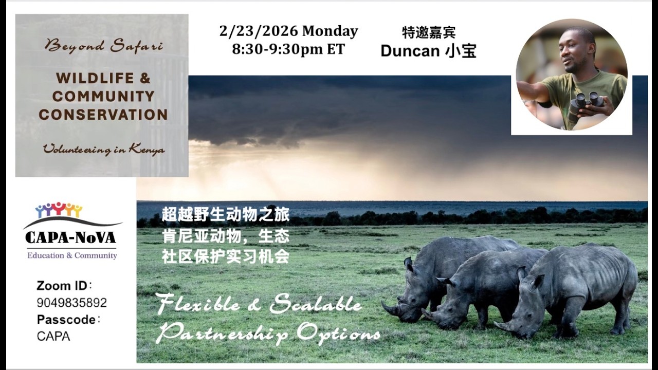 超越野生动物之旅：肯尼亚动物，生态，社区保护实习机会 2026.02.23