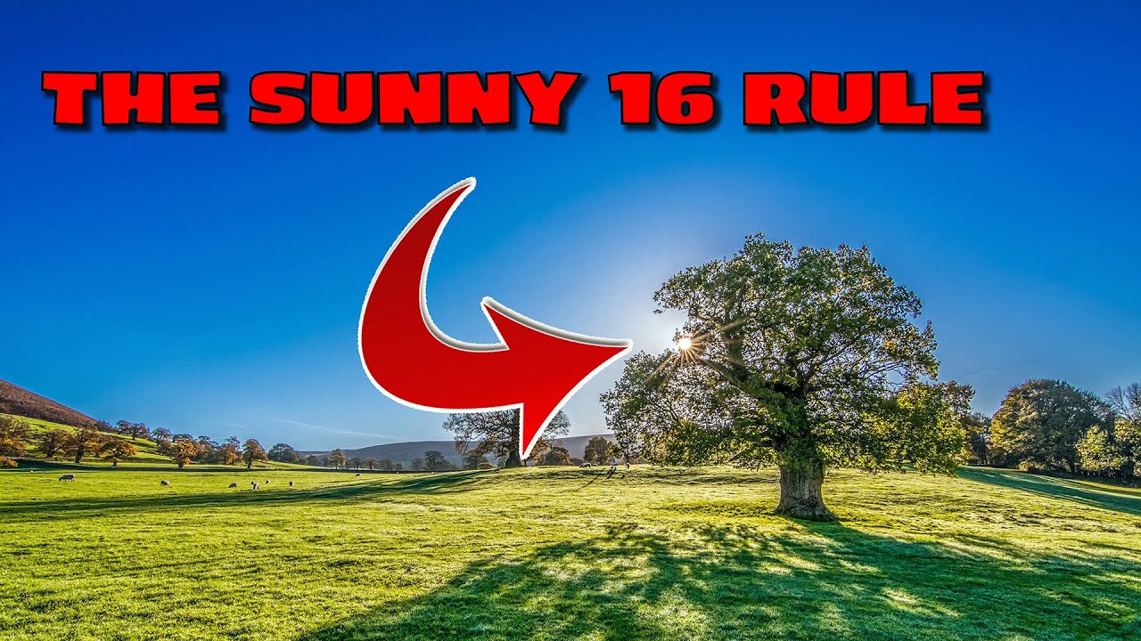 The Sunny 16 Rule - Photography Tips