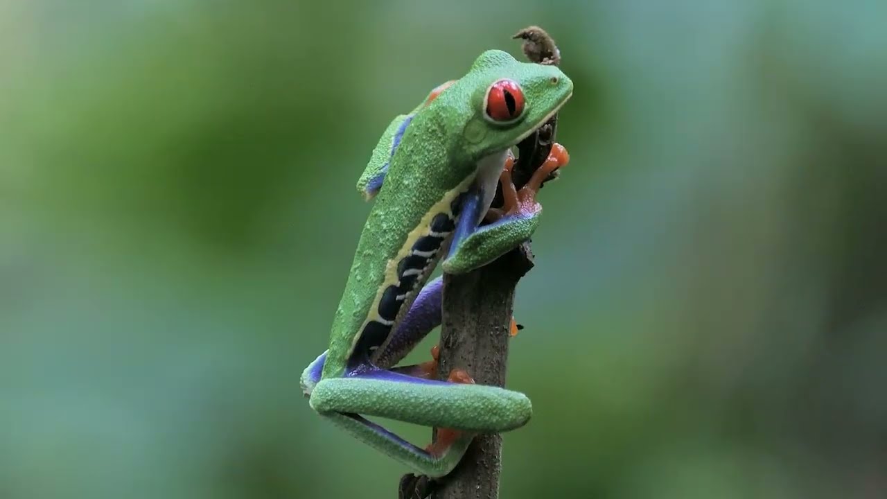 記憶の中の青 / The Blue in Memory