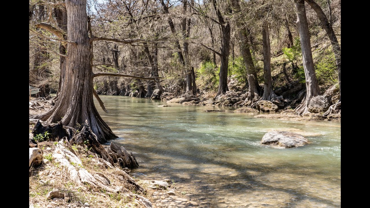 Guadalupe River Paradise