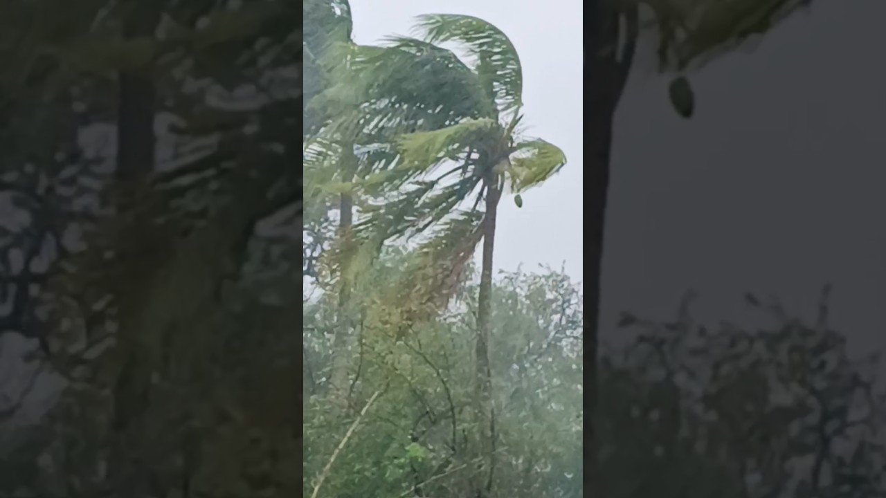 #cyclone #odisha #october #2024 #strom #mansoon