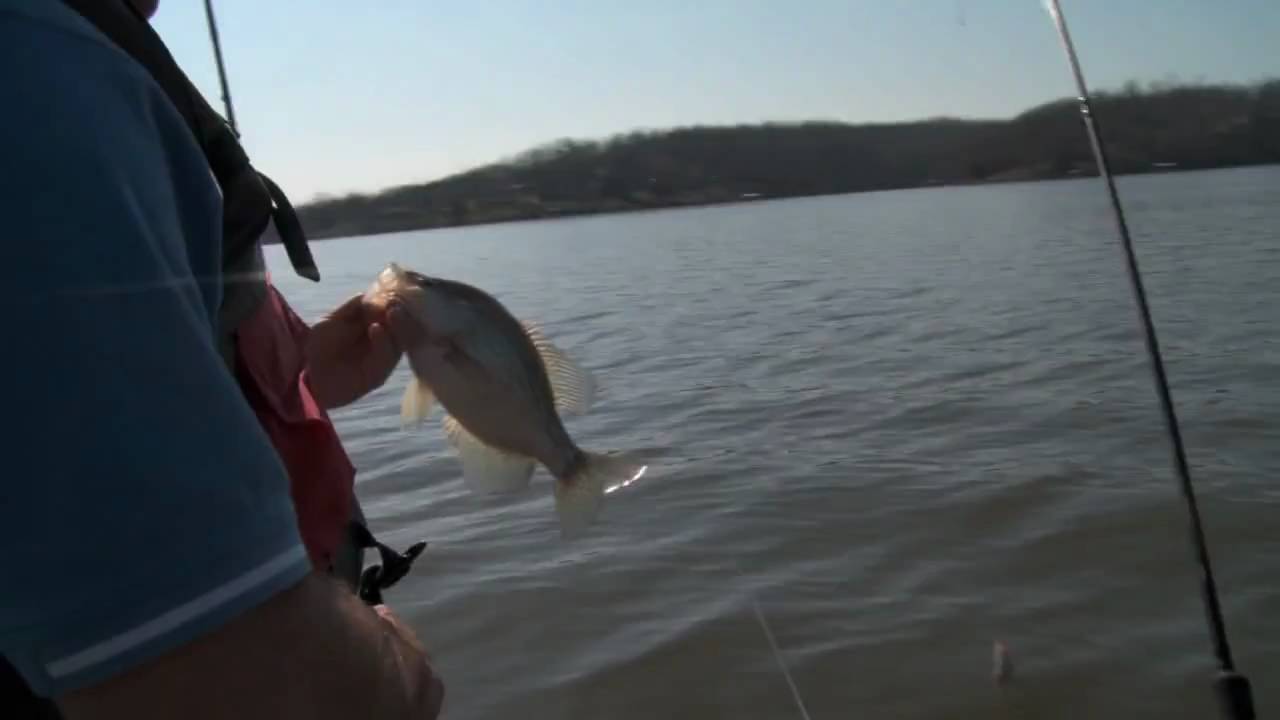 Crappie Fishing on Lake Barkley