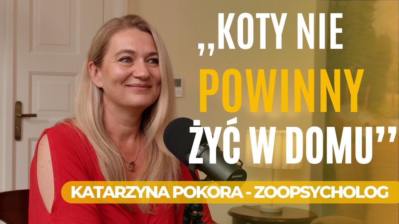 Te błędy popełnia większość właścicieli kot&oacute;w! Co robisz źle? Warto sprawdzić Gość: Katarzyna Pokora