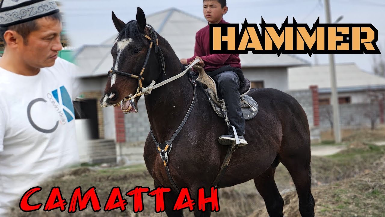 хаммер чыкты Саматтан