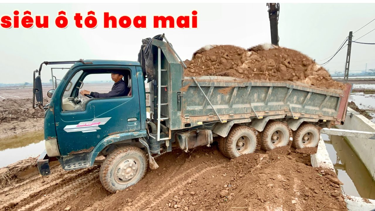 Siêu xe ô tô Hoa mai chở đất thụt hố cực mạnh , Bác tài đẳng cấp kinh nghiệm lái | Công nông chế