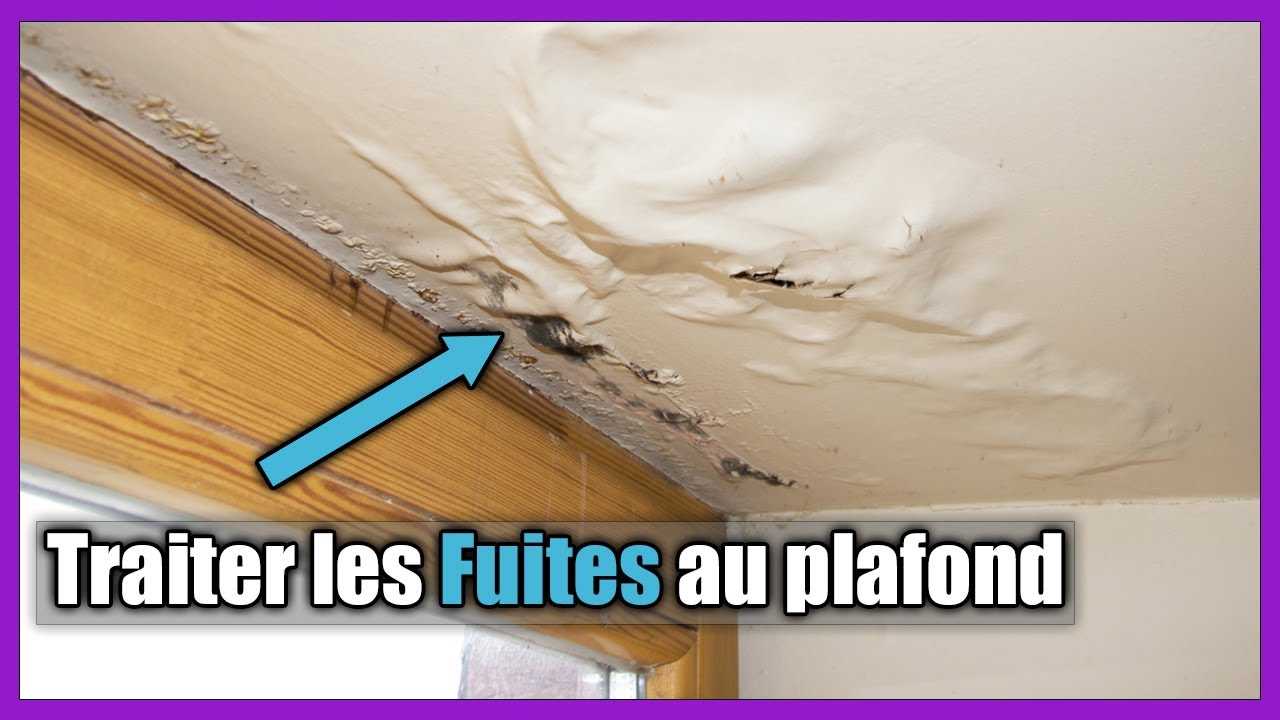 Les fuites au plafond : Signes, Types ,Traitement