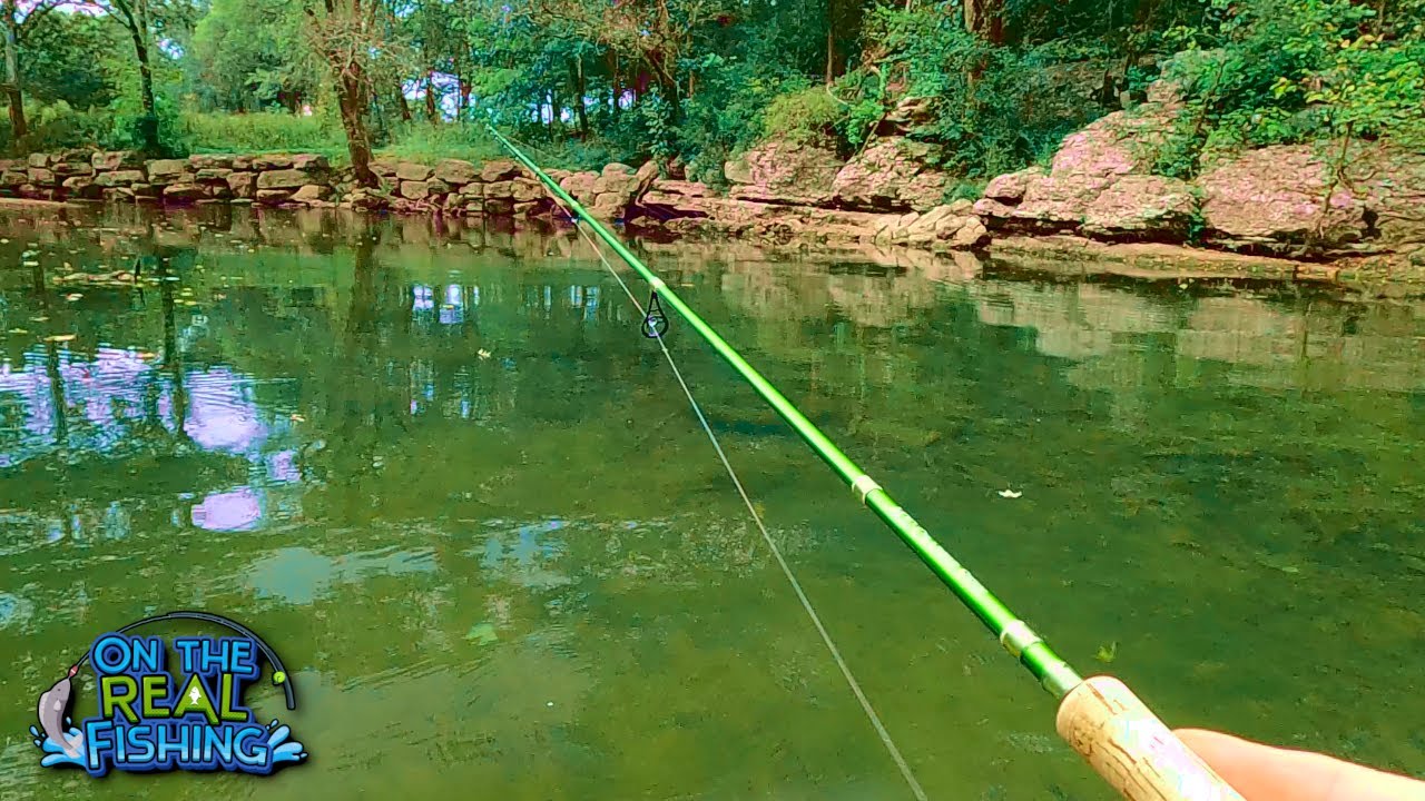 Рыбалка на популярном спуске на воду каяков в Теннесси, когда ЭТО произошло