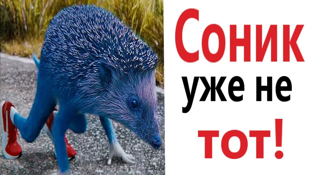 Лютые приколы. СОНИКА ТРОЛЛИТ КОТ!!! Самое смешное видео! Засмеялся проиграл! – Domi Show!