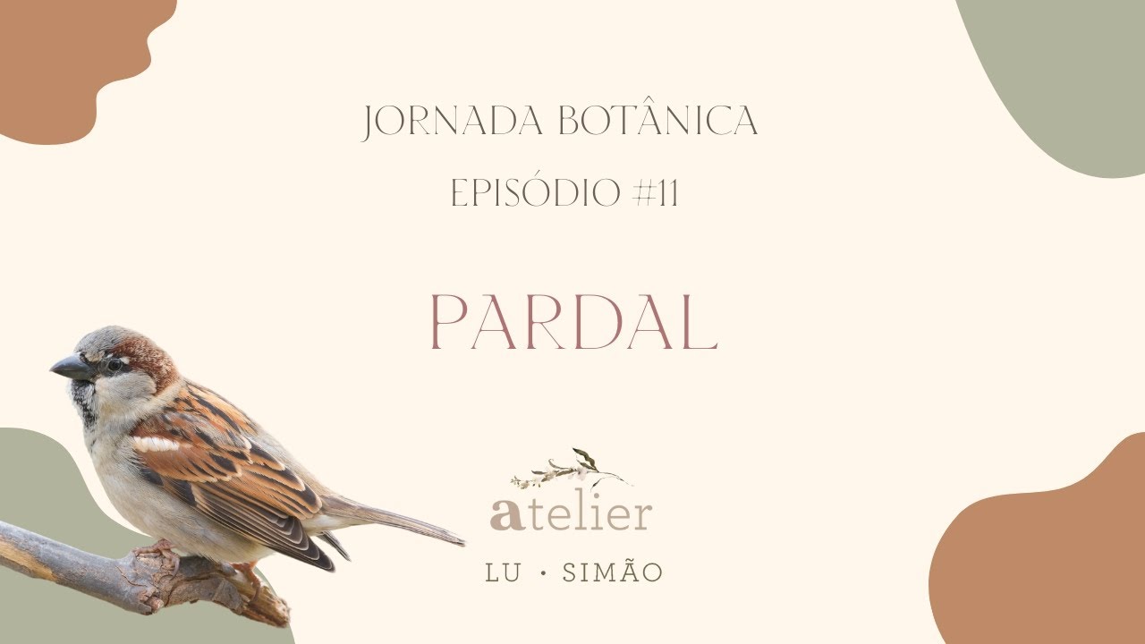 Jornada Botânica episódio #11 - Pardal