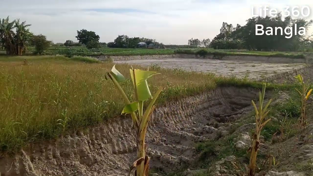 ঢাকার পাশে 12 হাজার টাকা শতাংশ জমি বিক্রি বিক্রি হয়ে গেছে | জমি বিক্রি | জমি বিক্রয়
