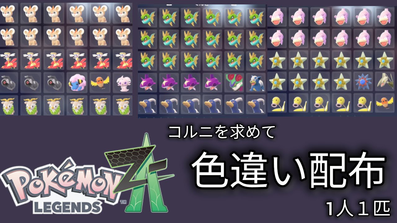 【概要欄をみてね】ポケモンZA色違い配布　コルニを求めて