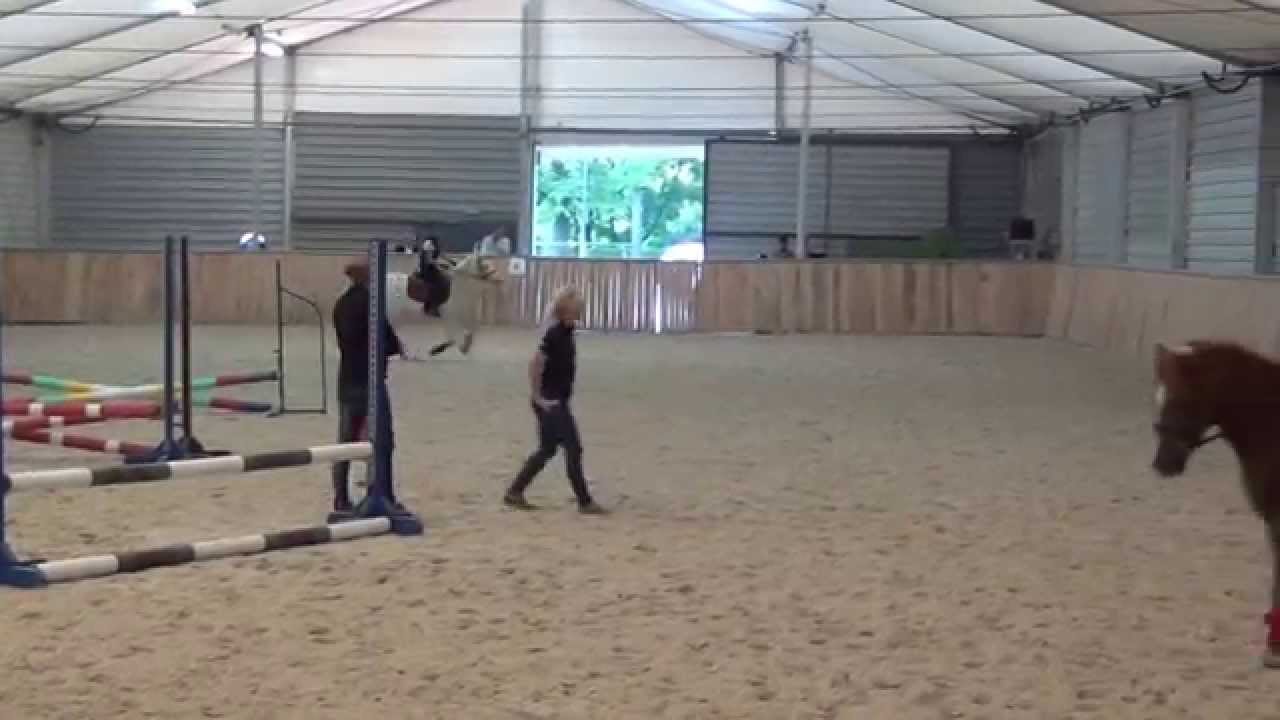 SKJ Poland Park - 20140919 kucyki sportowe do startu gotowe!