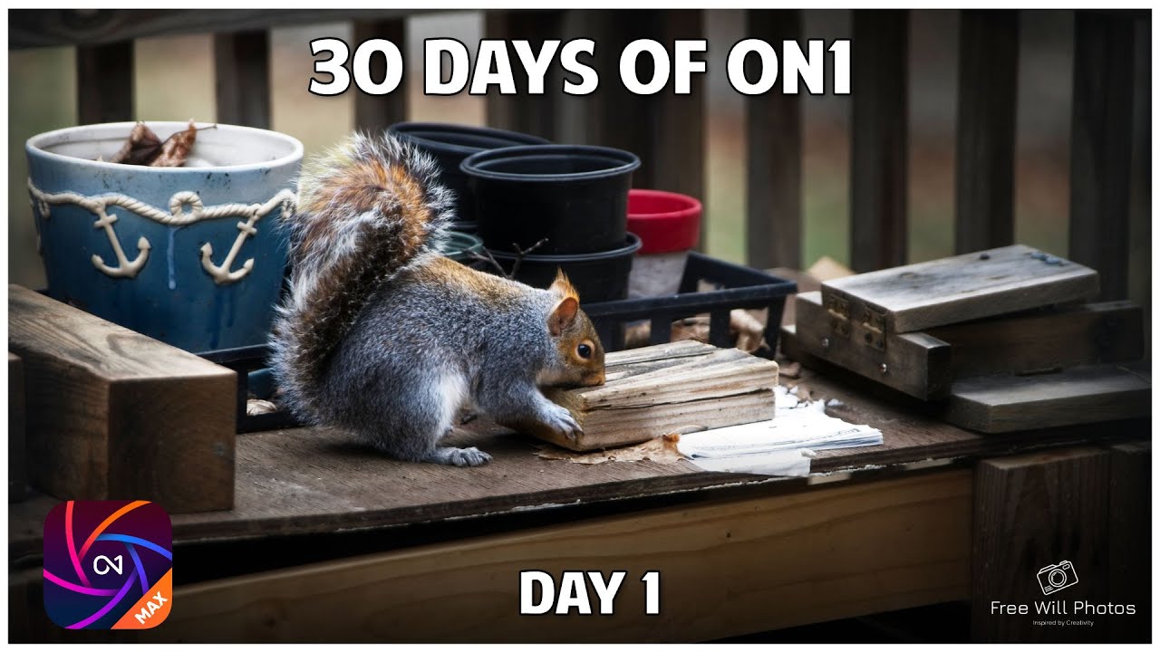 Turn Ordinary Photos into Masterpieces with ON1