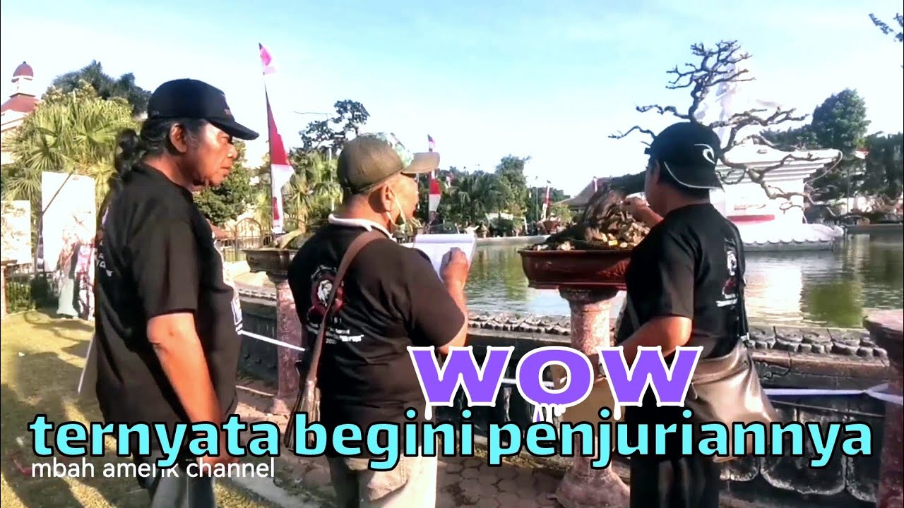 wow‼️ternyata begini penjurian bonsai di RUBI❗