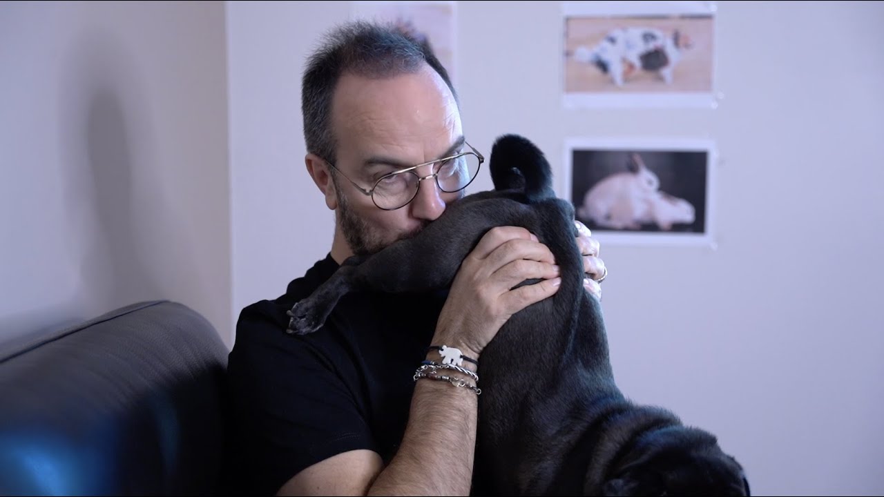 TEL MAÎTRE, TEL CHIEN !