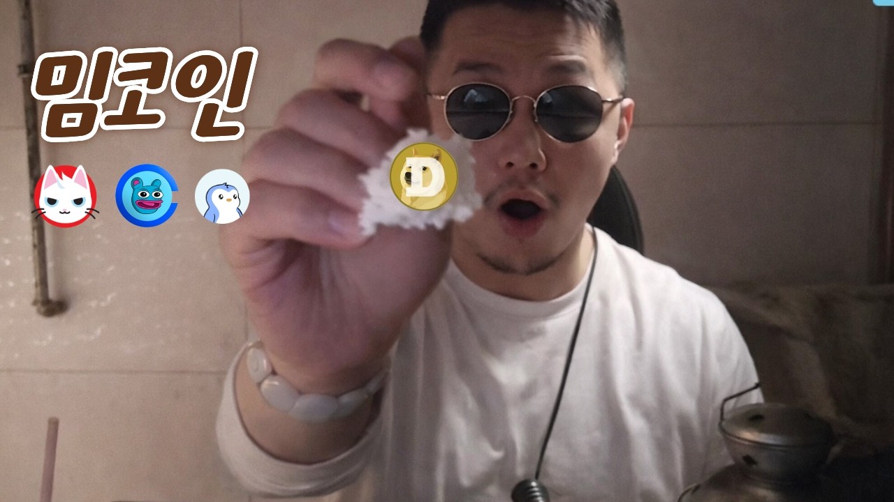 도지코인 DOGE 펏지펭귄 PENGU 브렛 Brett 캣인어독스월드 MEW [코인분석] 밈코인 정리 #코인시황