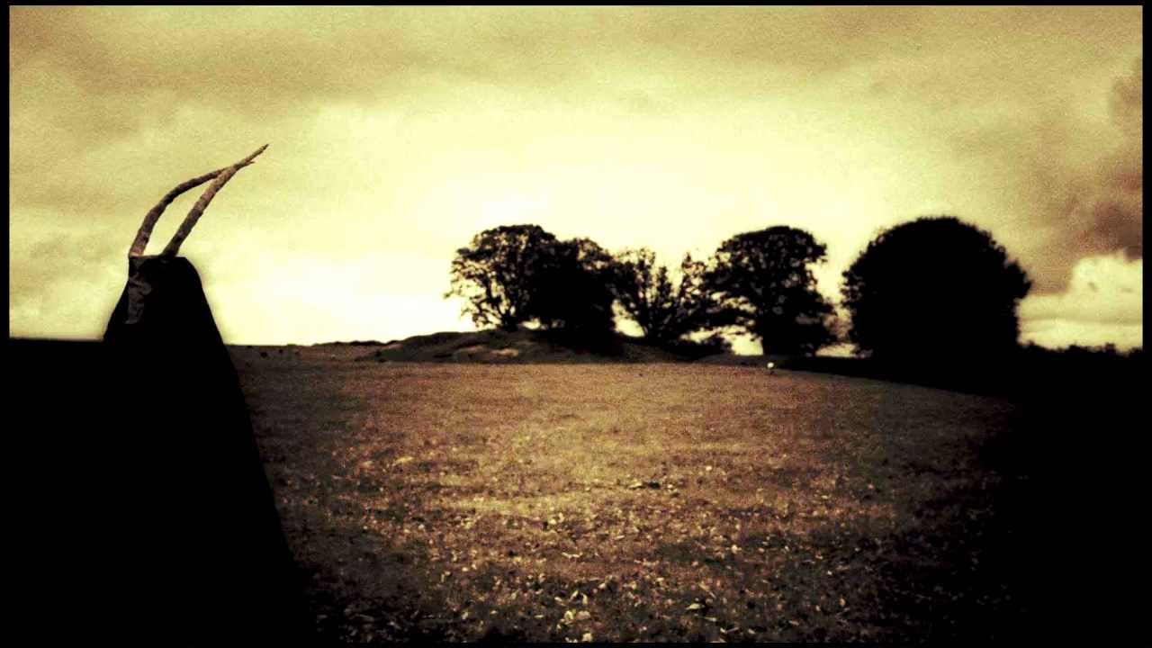 Steven Wilson 