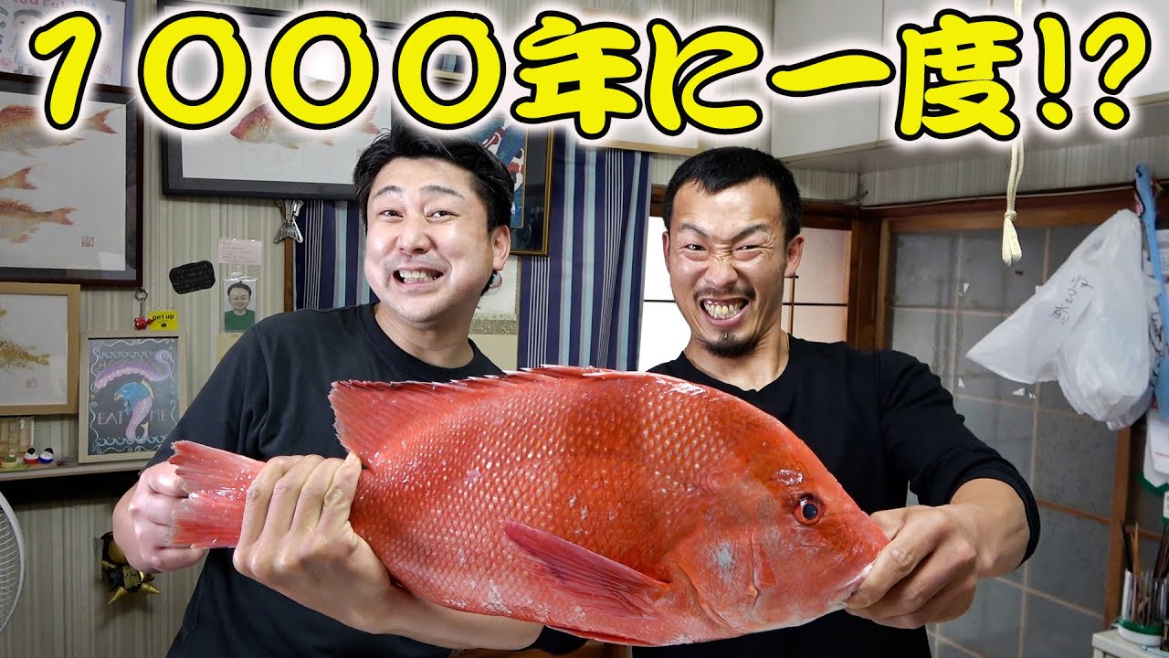 1000年に1度しかとれない幻の鯛！？【センネンダイ】刺身と蒸し物でいただきました！