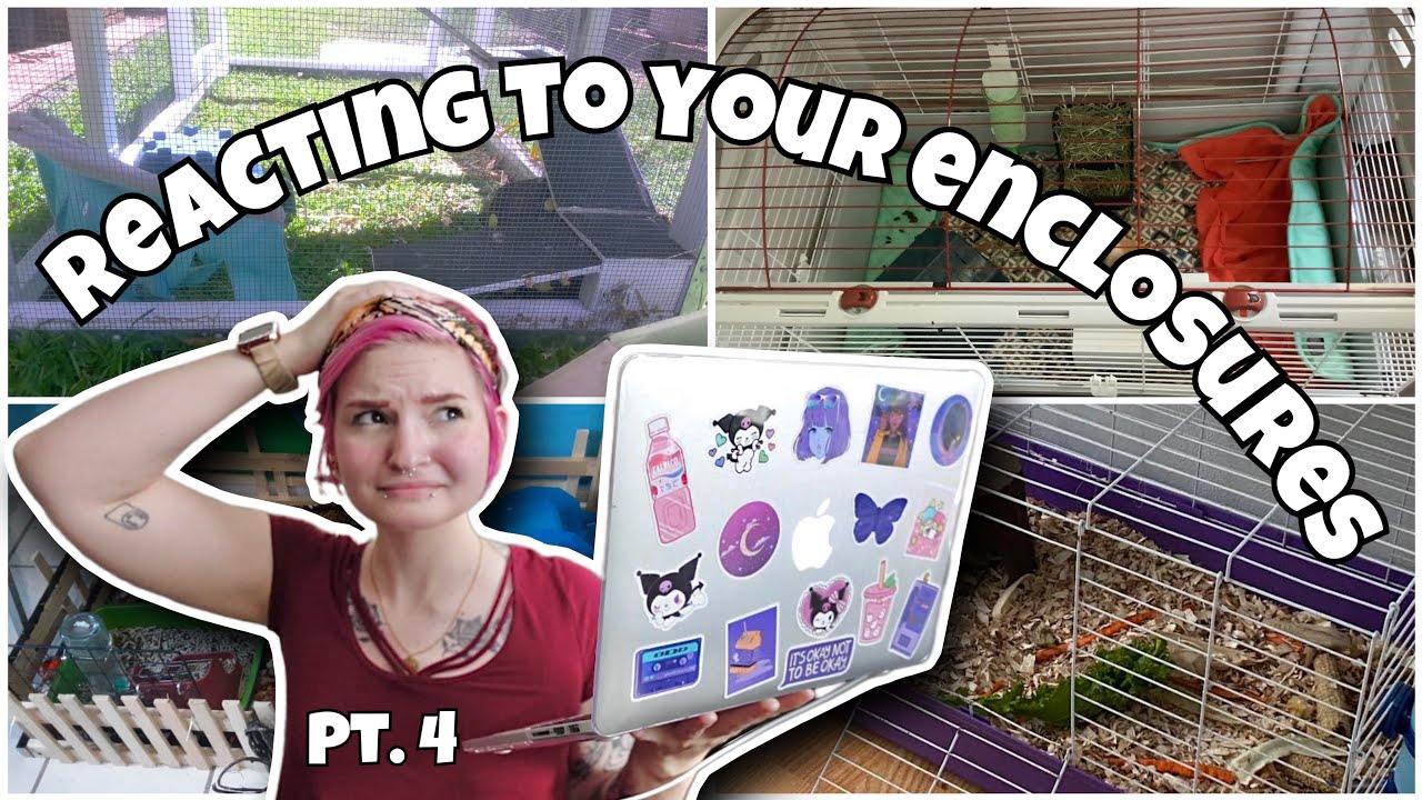 reacting to my subs BAD guinea pig cages | pt. 4 |