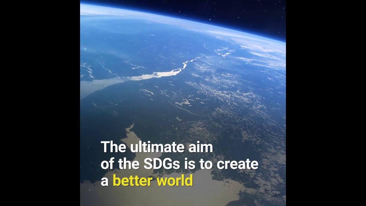 17 Sustainable Development Goals