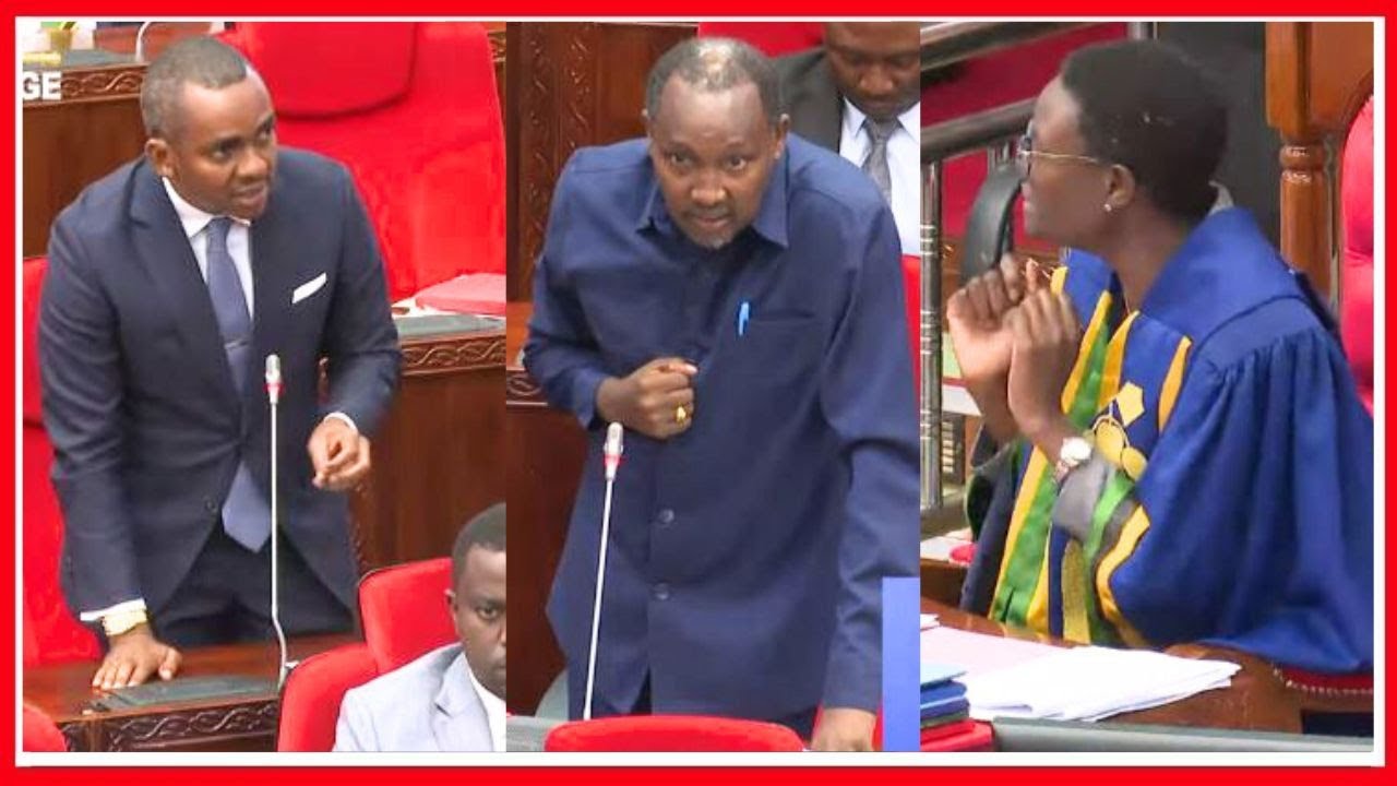 SPIKA TULIA AWABANANISHA MAWAZIRI SAKATA la MGOGORO wa ARDHI - ATOA MAAGIZO POLISI WAONDOKE KIJIJINI
