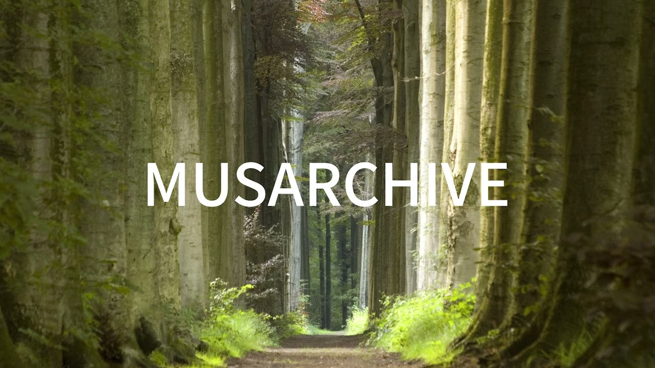 [Piano] 수면 질을 높여주는 잔잔한 피아노 선율 | 틀자마자 잠드는 음악