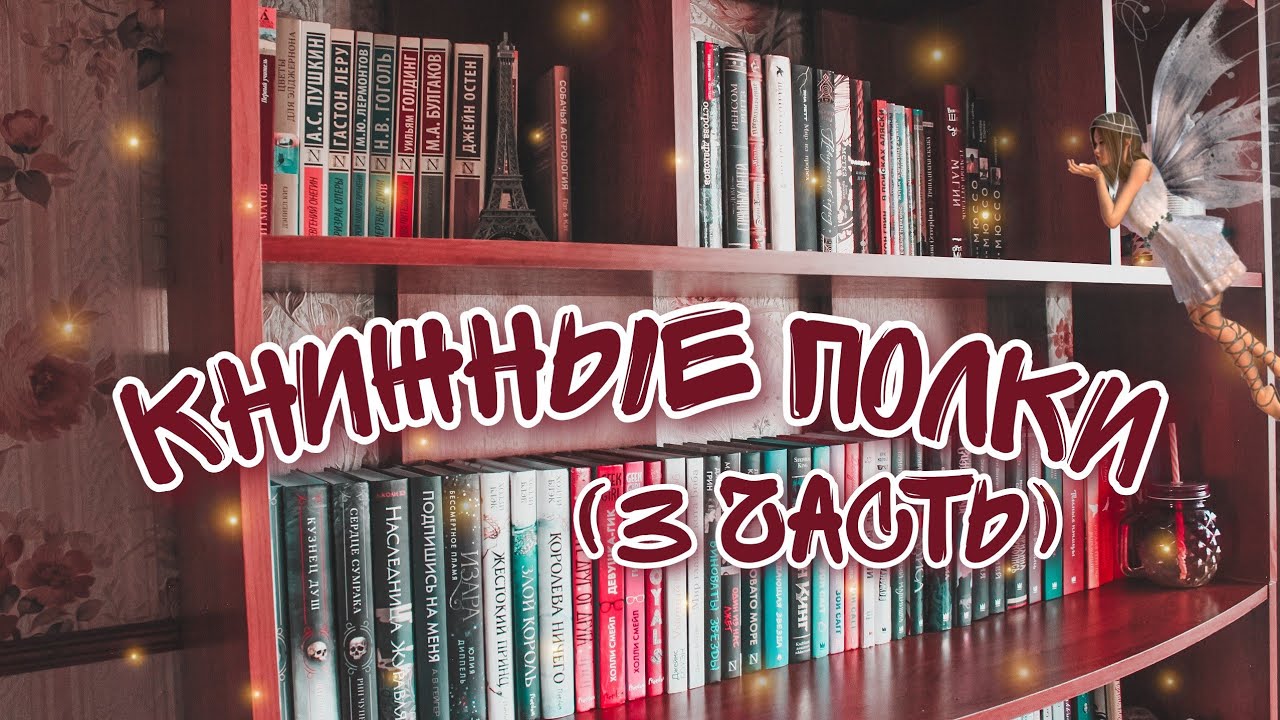 КНИЖНЫЕ ПОЛКИ (3 ЧАСТЬ)