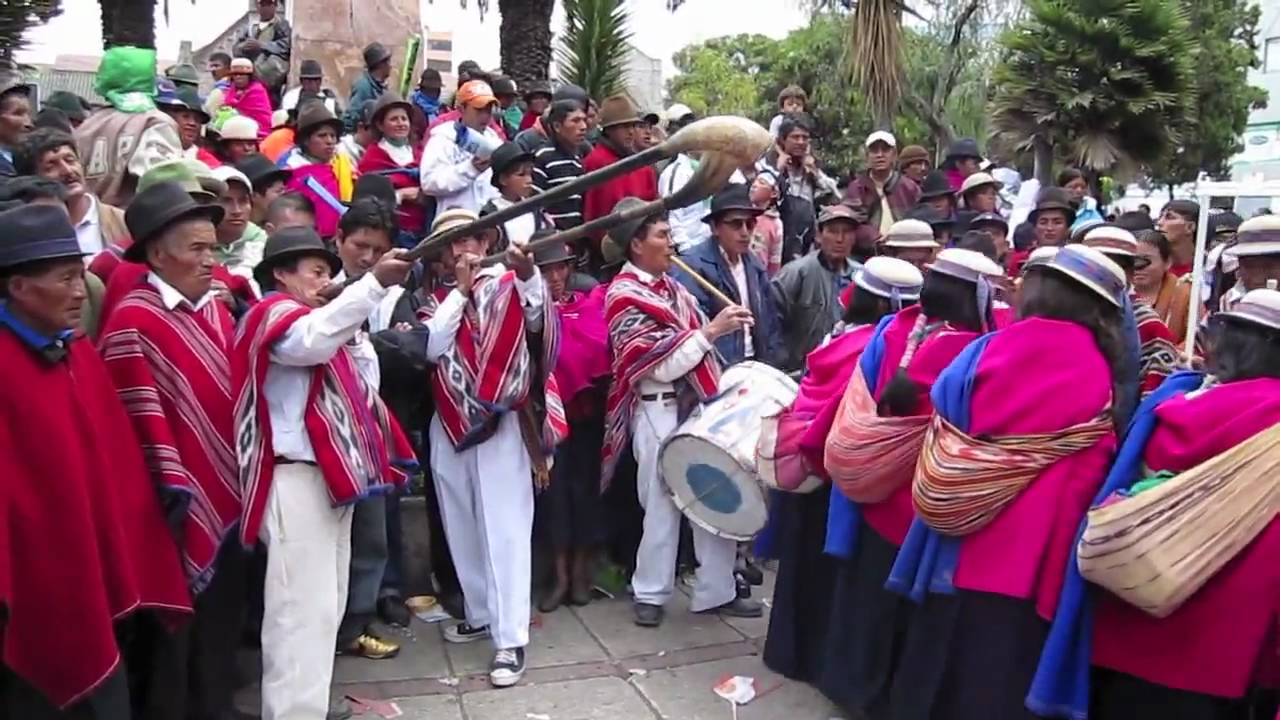 CACHA VIVE (HD)