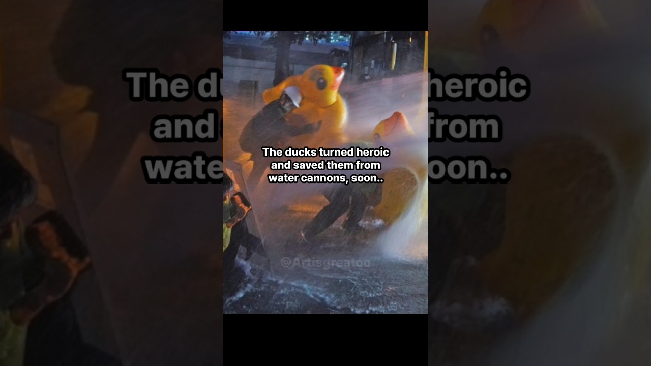 How Rubber Ducks Became A Symbol Of Protest #protest #facts #history