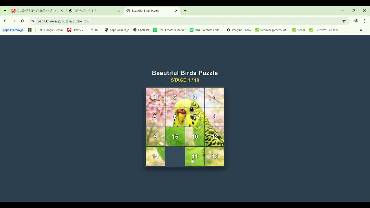 beautiful birds puzzle