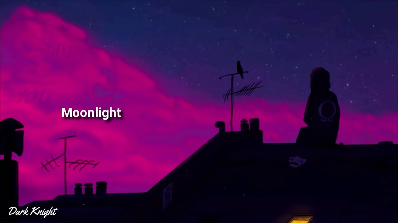 Ali Gatie - moonlight (lyrics) مترجمة