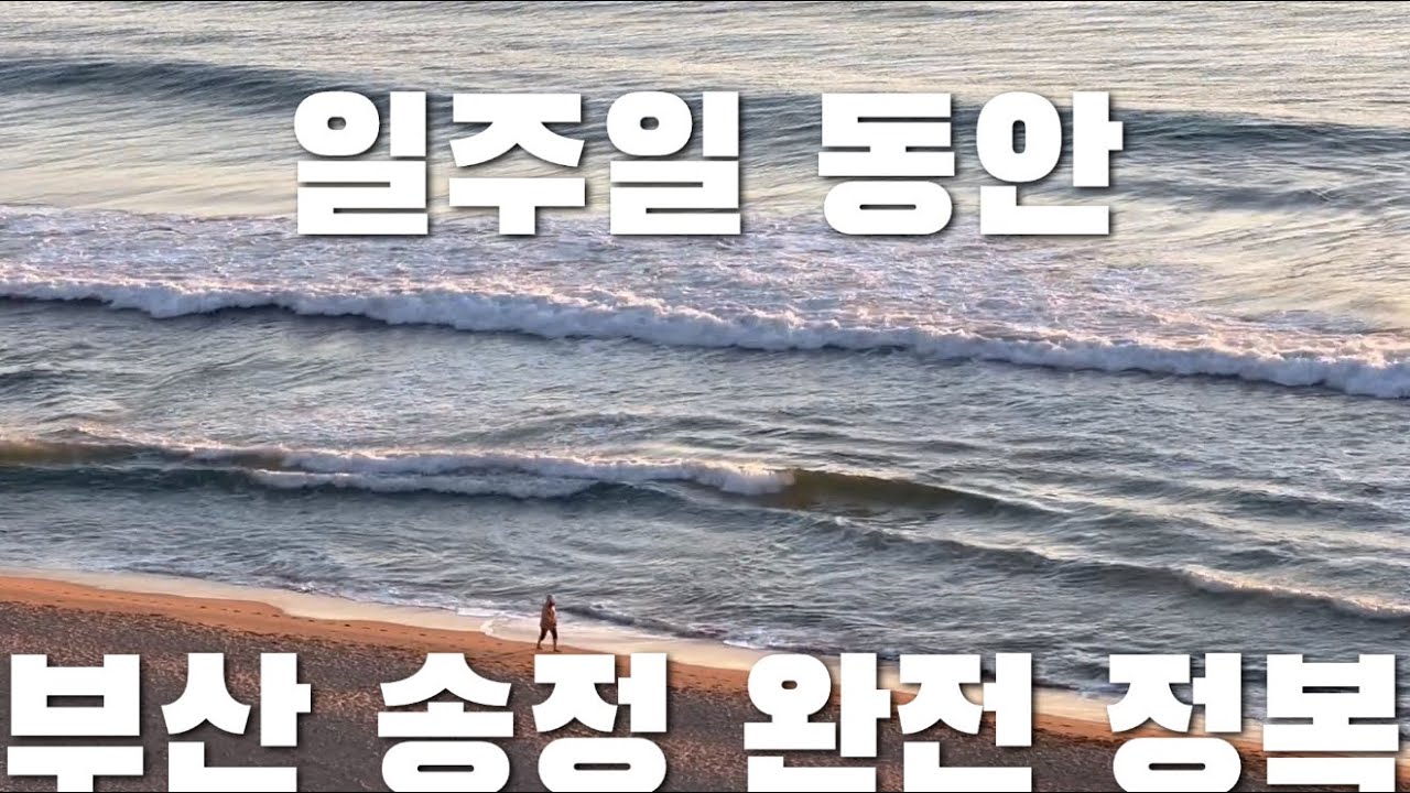 [부산 여행 vlog] 일주일 동안 송정에만 머물며 송정 맛집 뽀개기 | 송정집 | 낙불집 | 캡슐 열차 | 수림식당 | 더가마 |