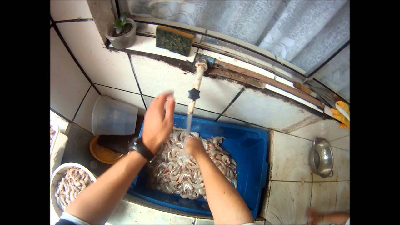 COMO GUARDAR O CAMARÃO PARA ELE DURAR MAIS