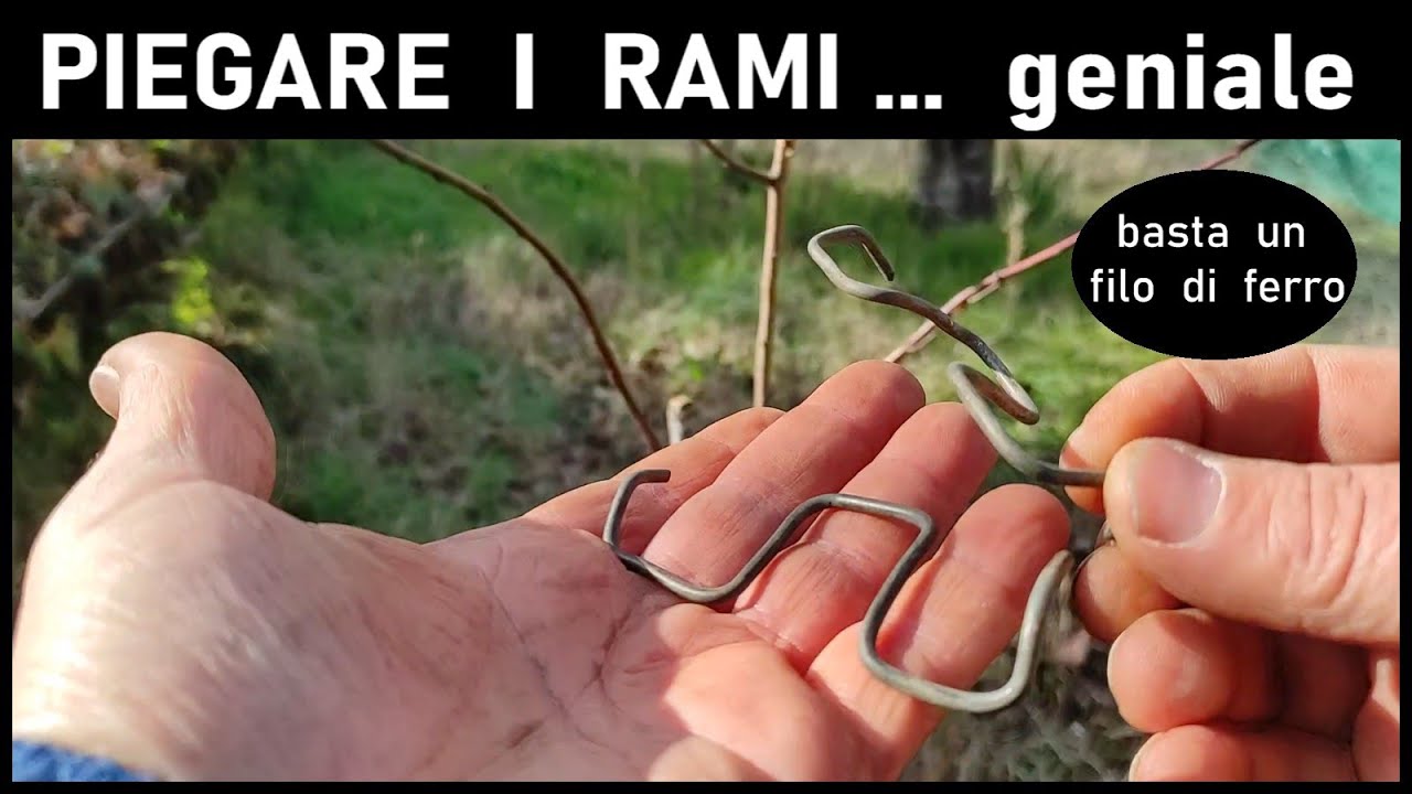 PIEGATURA DEI RAMI metodo semplice, basta un filo di ferro