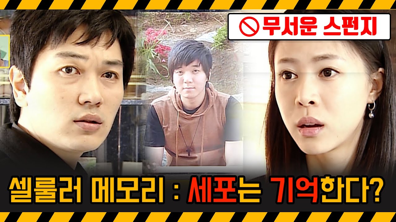 [기막힌 클립] 심장이식 수술을 받은 아이의 이상한 기억, 셀룰러 메모리 [스펀지 심리노트] | 20090522 KBS 2TV 방송