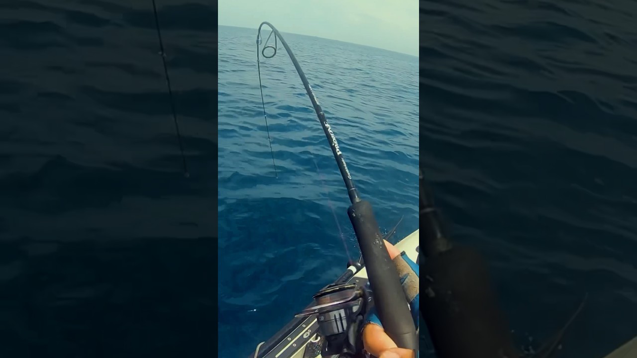 El Microjigging no defrauda 🎣 