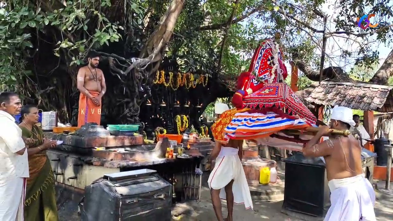 Devikulangara amma ochira mahadeva kshetra സന്നിധിയിൽ jeevatha ezhunnallathu ദേവിക്കുളങ്ങര അമ്മ 2025