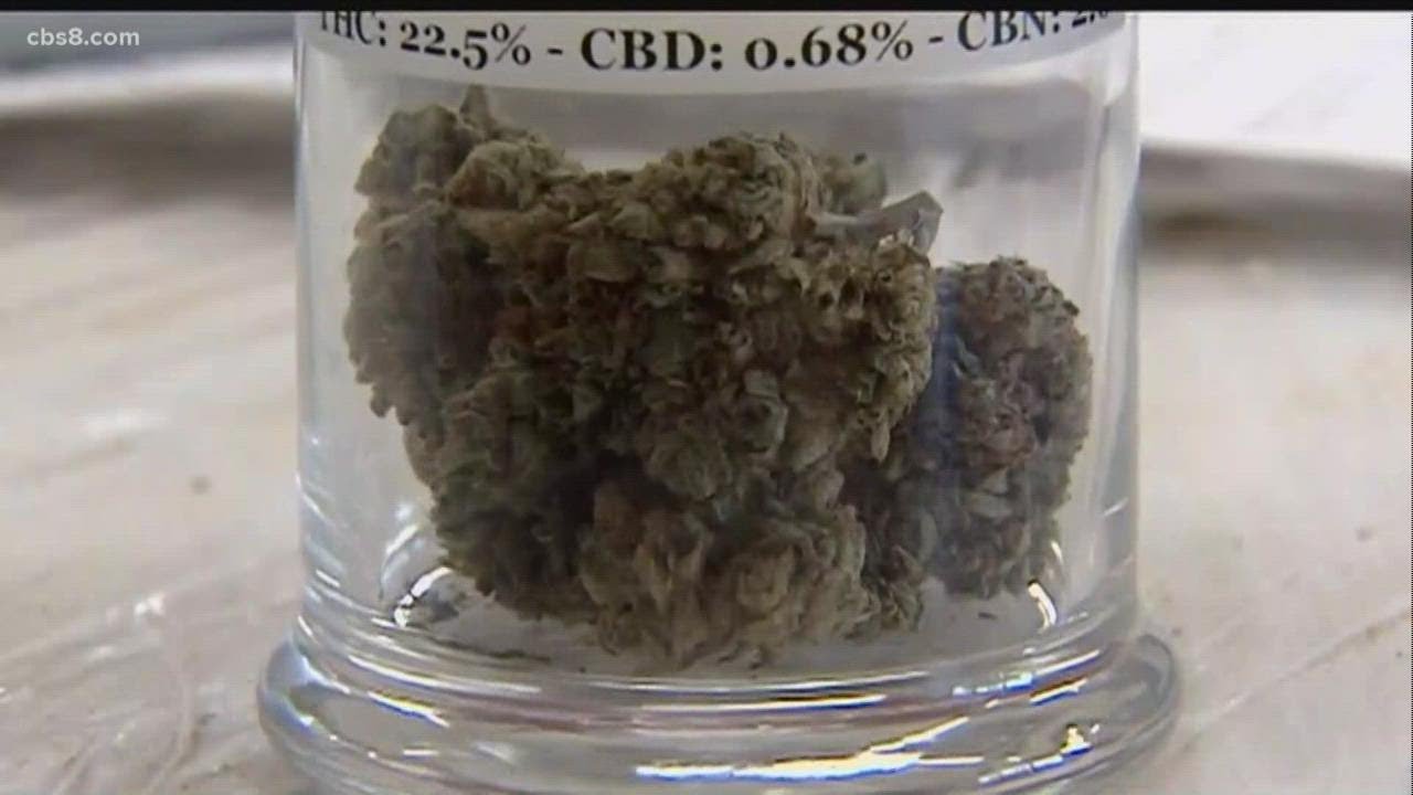 Cannabis enters the California State Fair competition