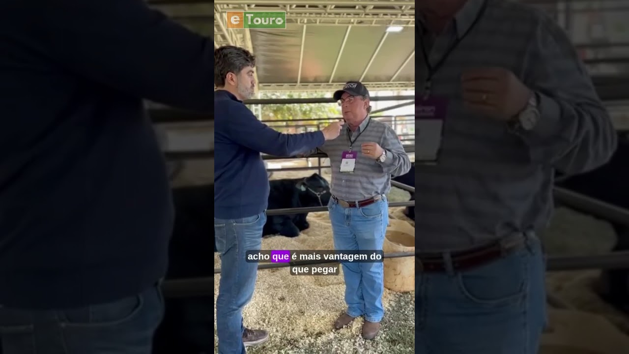 🎤 Por que comprar com uma leiloeira de credibilidade faz toda a diferen&ccedil;a? 🐂💼