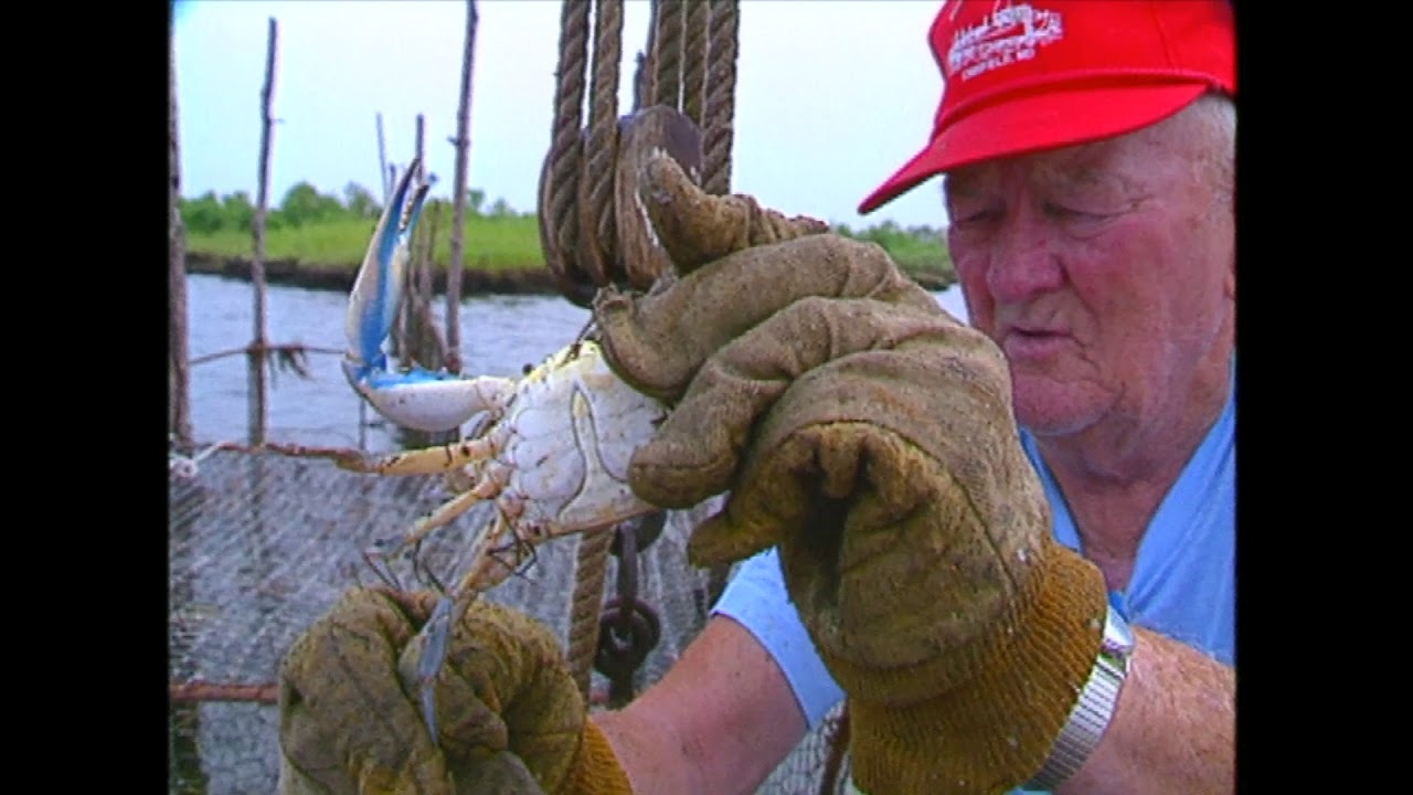Eastern Exposure Part 3 - Crisfield Story continues