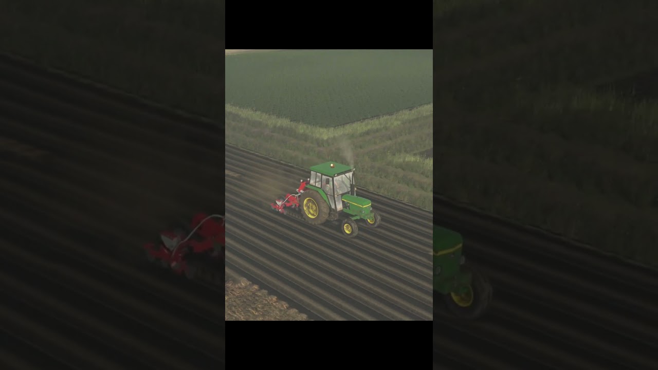 🥕Siejemy marchewkę🙂 