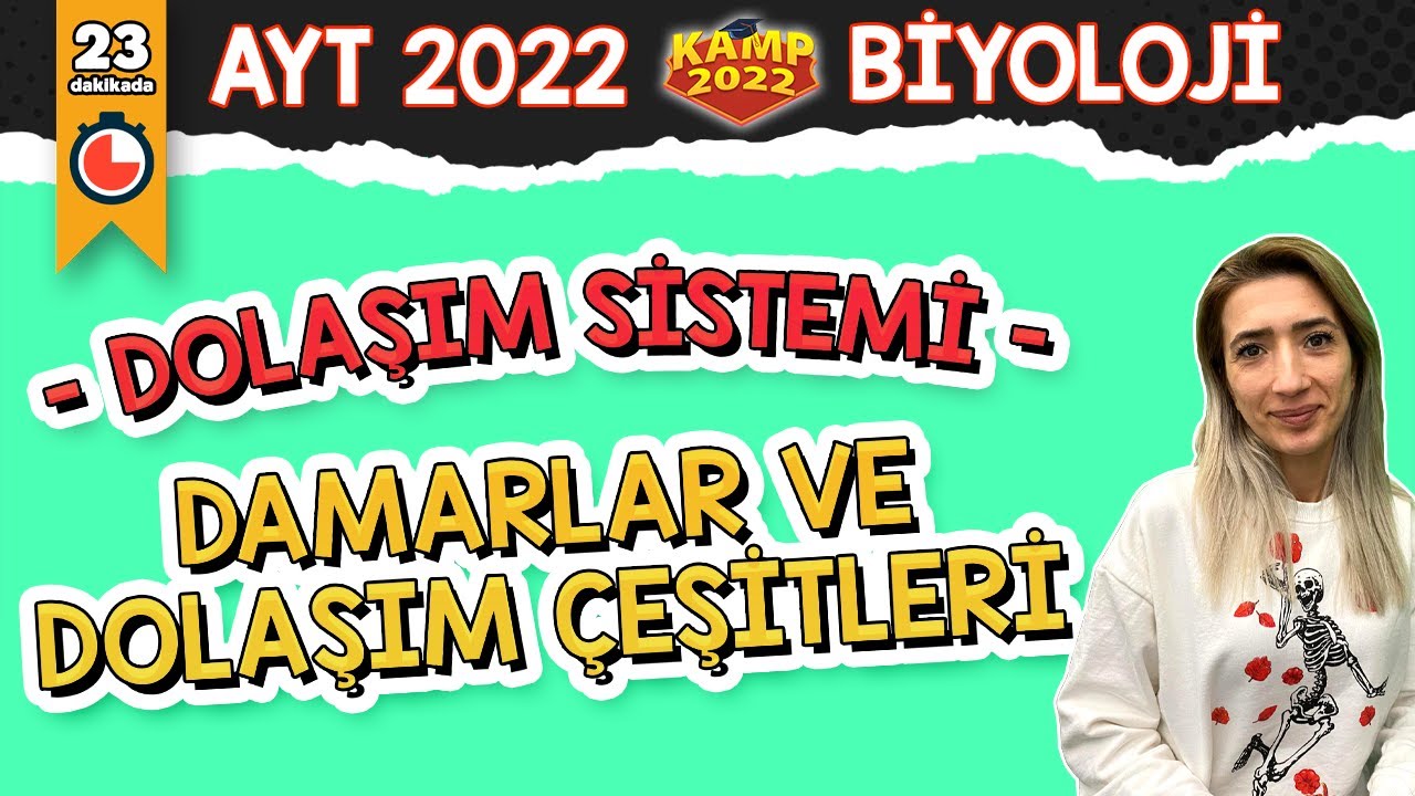Damarlar ve Dolaşım Çeşitleri | AYT Biyoloji #Kamp2022