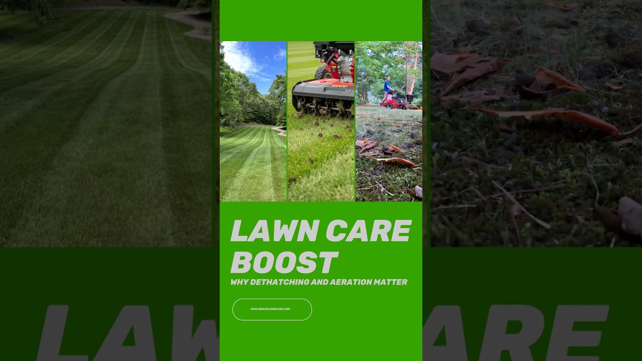 Boost Lawn Health Now