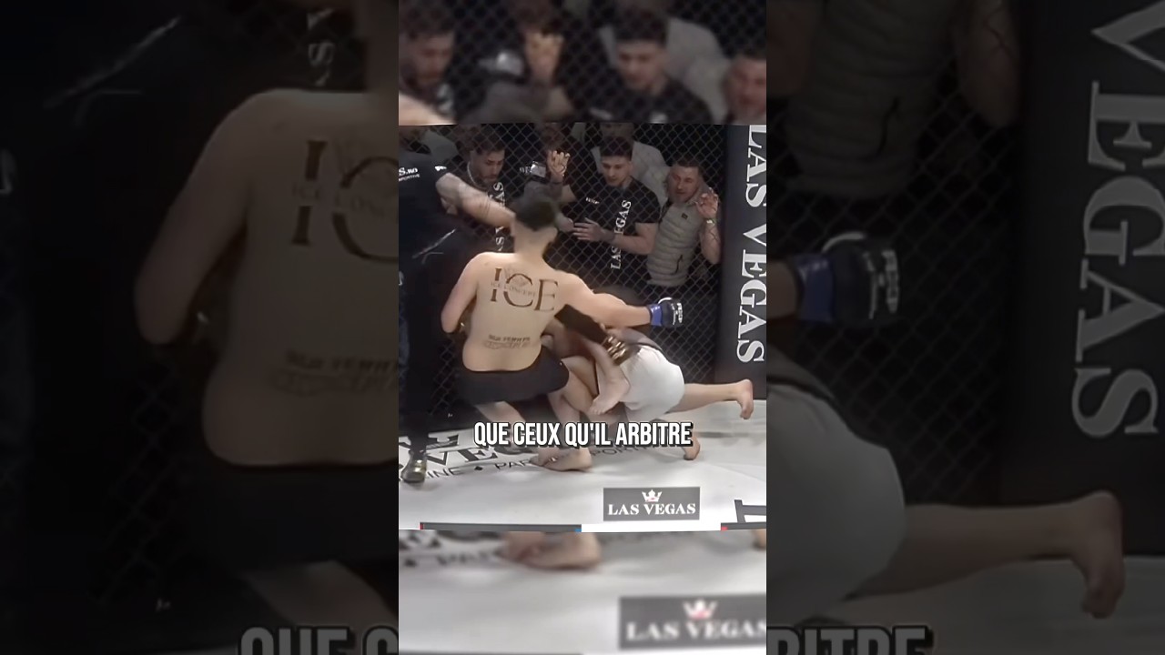 When the referee is more dangerous than the fighters 😭 #mma