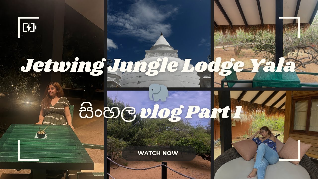 From Road Trip to Jungle Stay 🌿 | Jetwing Jungle Lodge Experience | සිංහල Vlog