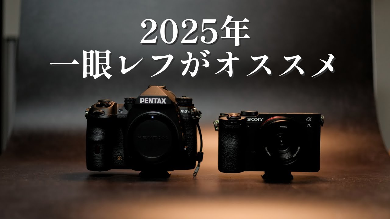 2025年にミラーレスではなく一眼レフがオススメな人