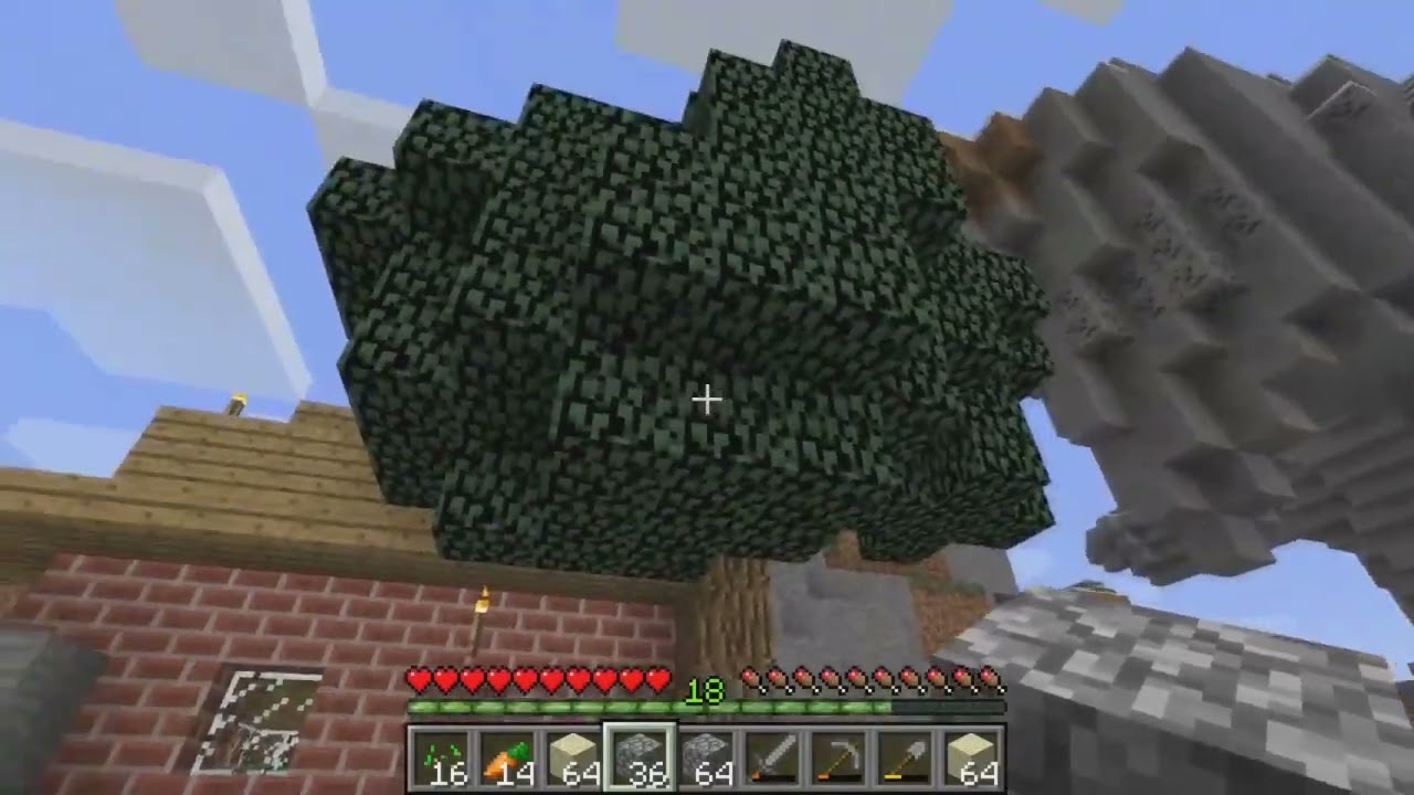 ASMR su MINECRAFT