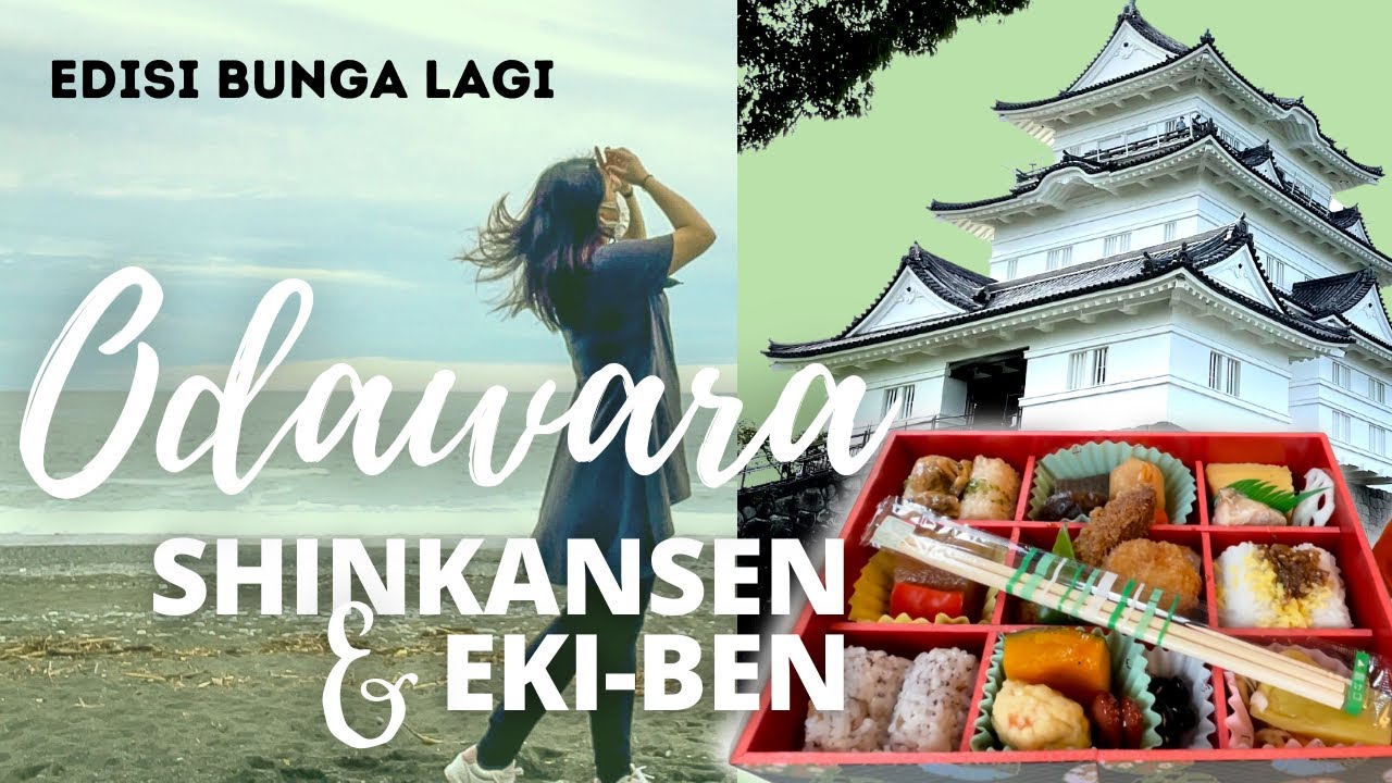 Keliling sambil Petualangan di Odawara!