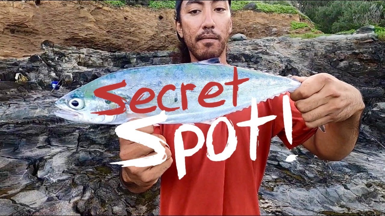 Back To Our Secret Fishing Spot! Drone Fishing | Hawaii Fishing | Big Island Hawaii Fishing 2020